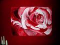 rose vor rot